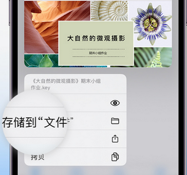 逊克apple维修中心分享iPhone文件应用中存储和找到下载文件