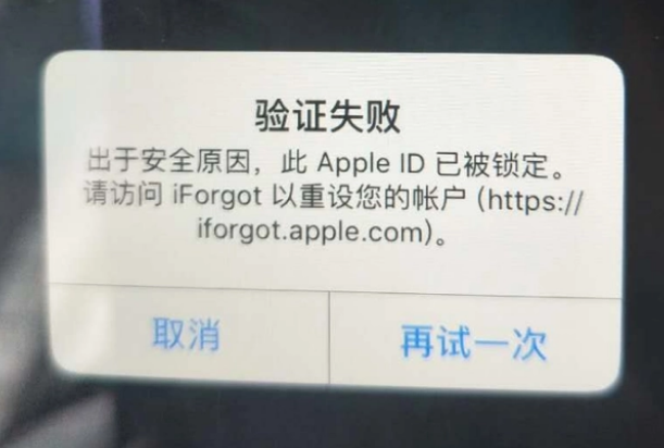 逊克iPhone维修分享iPhone上正常登录或使用AppleID怎么办 