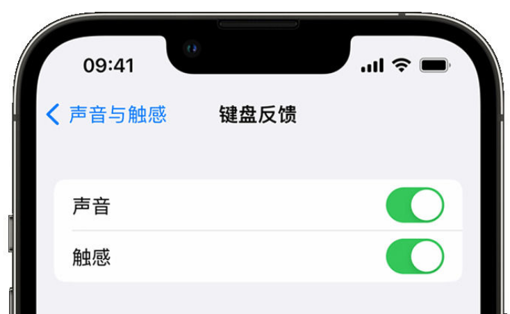 逊克苹果手机维修分享iPhone 14触感键盘使用方法 