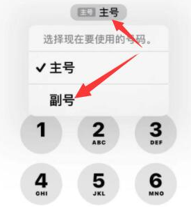 逊克苹果14维修店分享iPhone 14 Pro Max使用副卡打电话的方法 