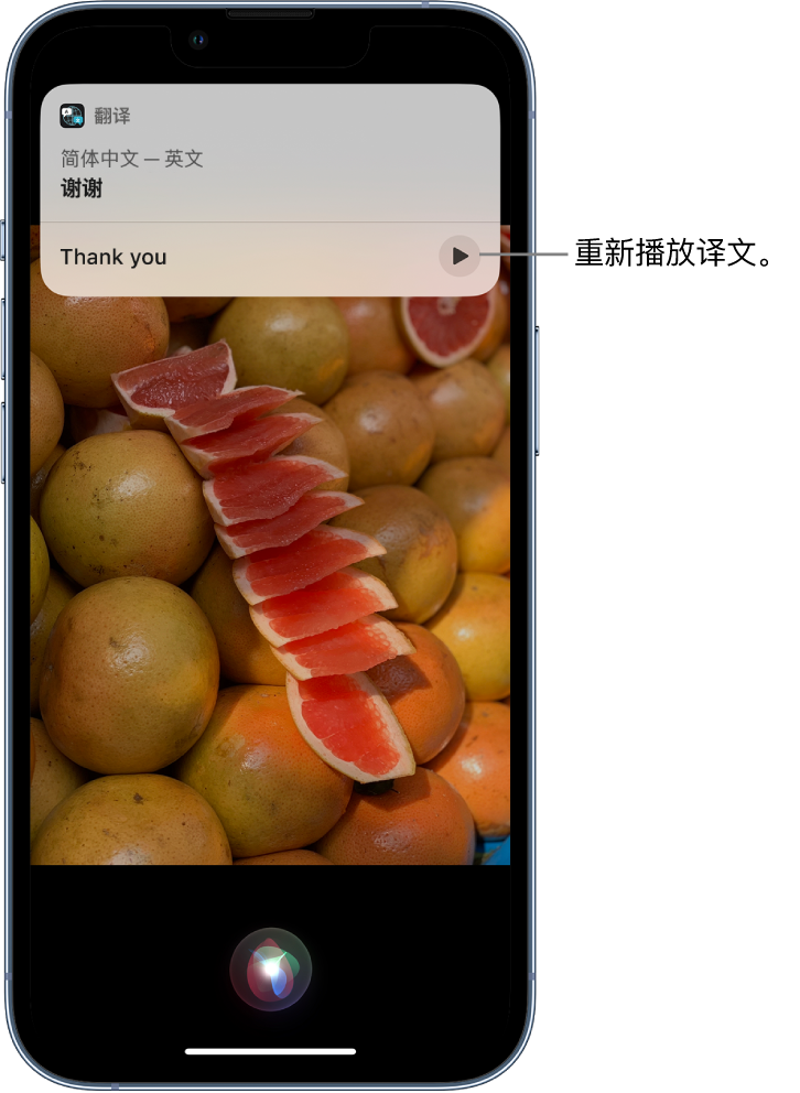 逊克苹果14维修分享 iPhone 14 机型中使用 Siri：了解 Siri 能帮你做什么 