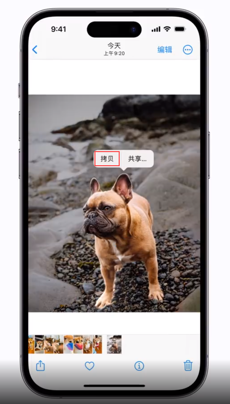逊克苹果手机维修分享 iOS 16 自带一键抠图功能 