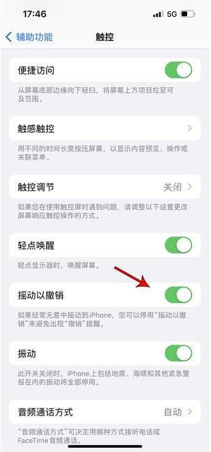 逊克苹果手机维修分享iPhone手机如何设置摇一摇删除文字 