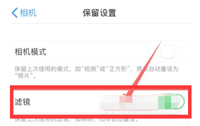 逊克苹果13维修分享iPhone13拍照有绿点是怎么回事 