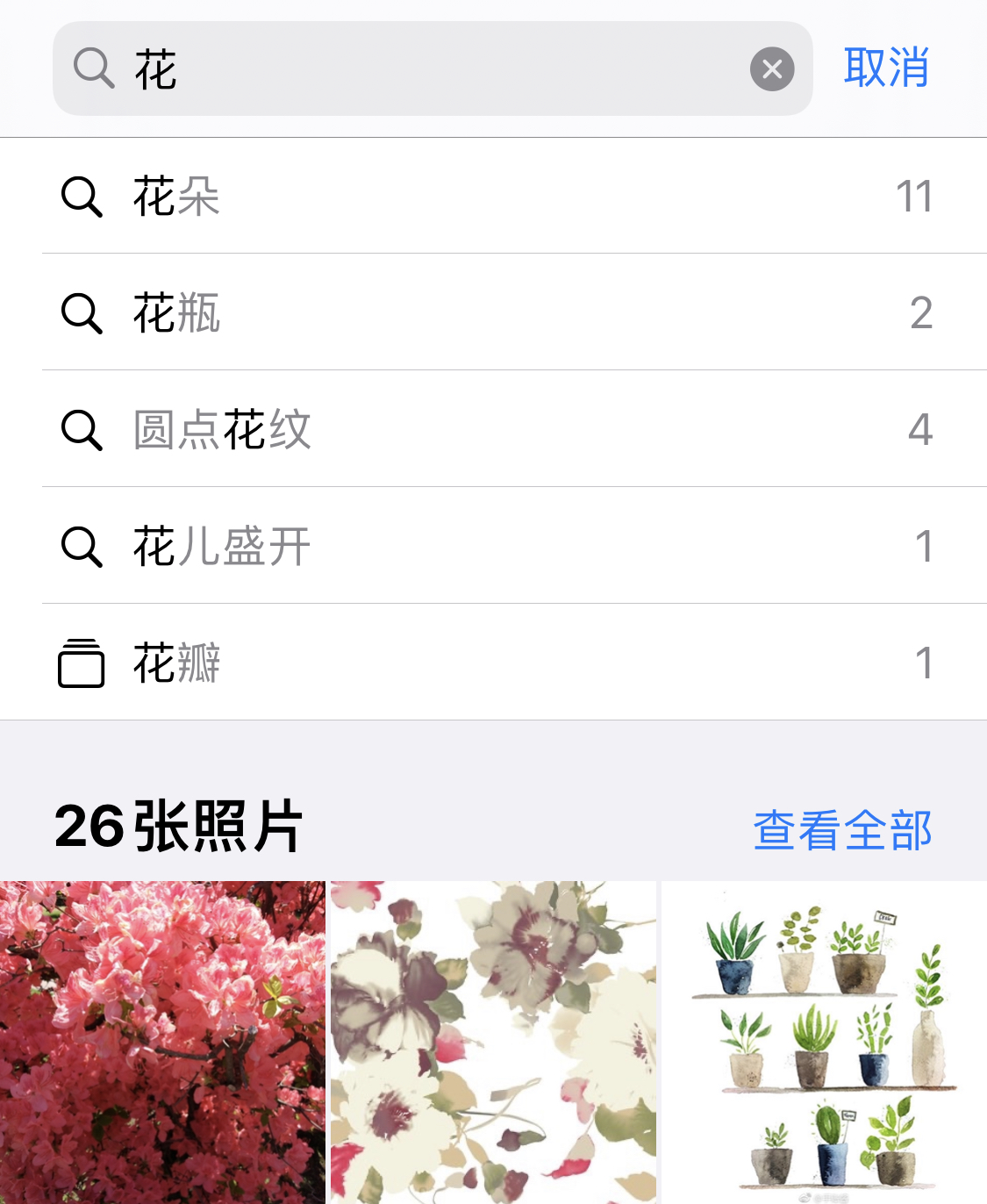 逊克苹果手机维修分享iPhone 小技巧 