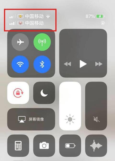 逊克苹果手机维修分享为 iPhone 12 双卡设置标签 