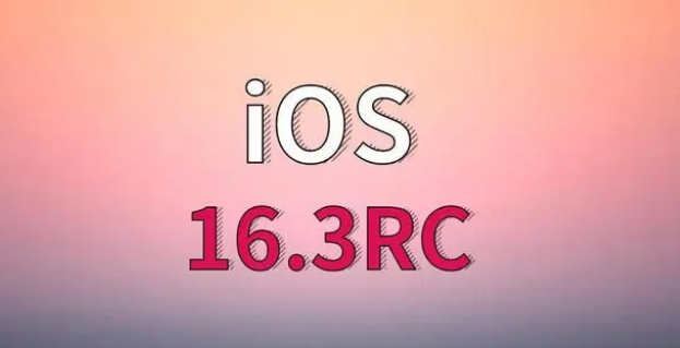 逊克苹果手机维修分享iOS 16.3 RC版升级_iOS 16.3 RC版一键刷机教程 