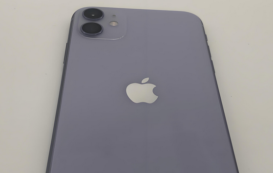 逊克苹果11系统维修分享iPhone11手机系统崩溃无法开机如何解决 